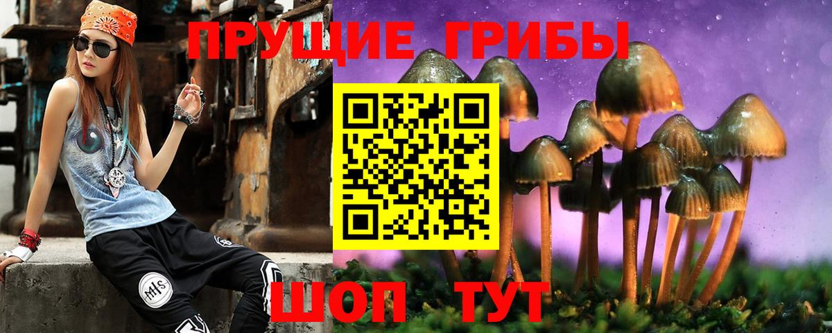 Кольчугино  Галлюциногенные грибы Cubensis  Вход с VPN 