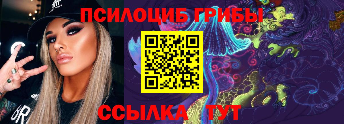 Псилоцибиновые грибы прущие грибы Кольчугино