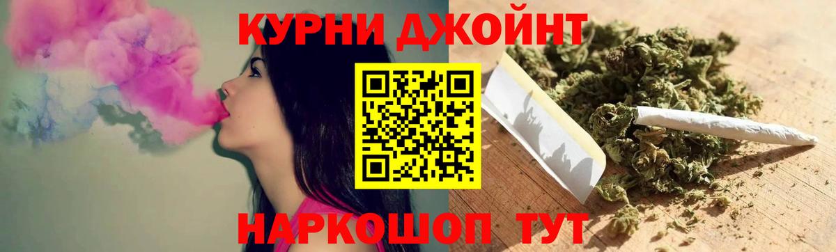 Канабис OG Kush Кольчугино